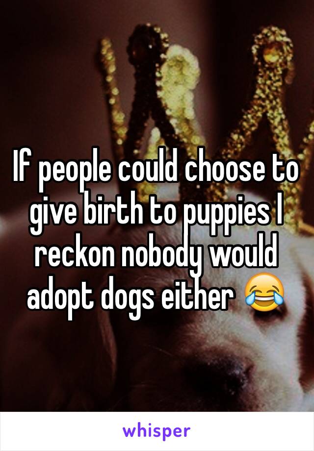 If people could choose to give birth to puppies I reckon nobody would adopt dogs either 😂