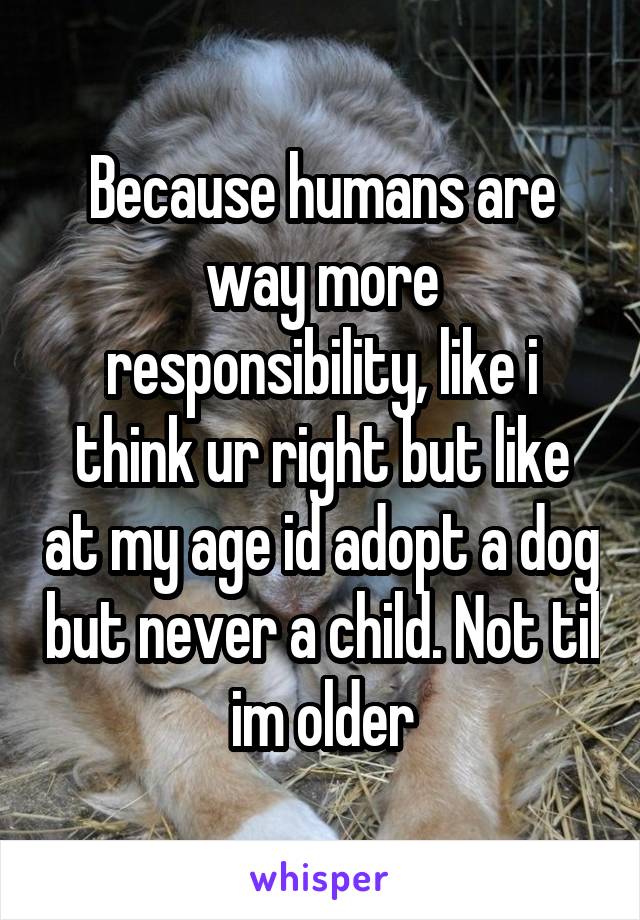 Because humans are way more responsibility, like i think ur right but like at my age id adopt a dog but never a child. Not til im older