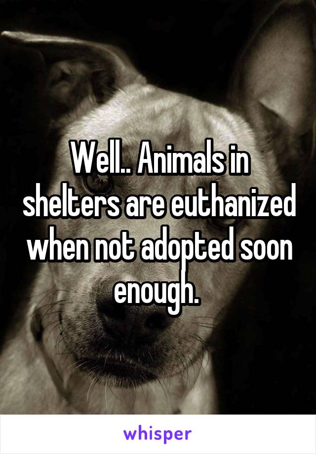 Well.. Animals in shelters are euthanized when not adopted soon enough. 