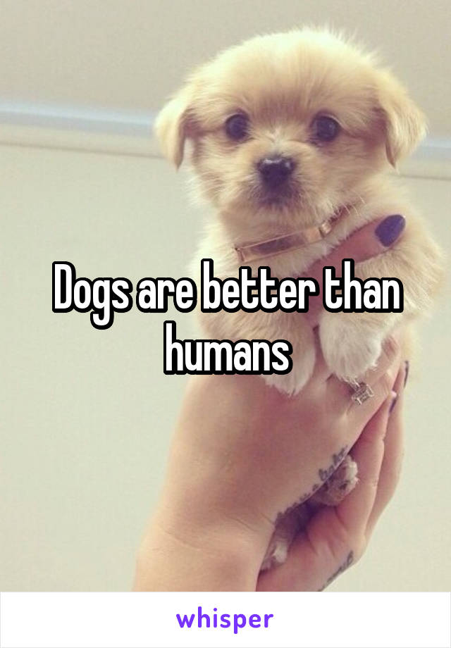 Dogs are better than humans