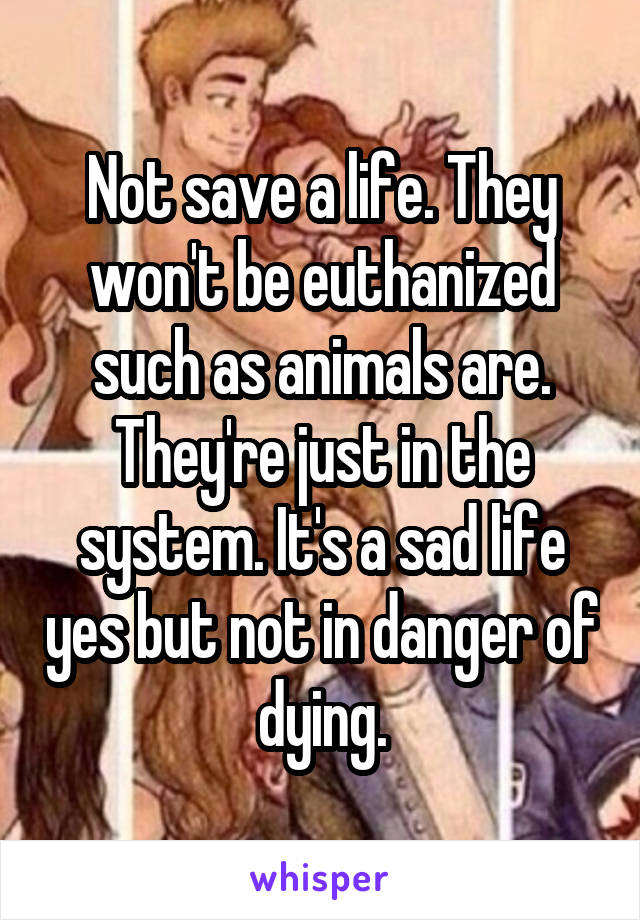 Not save a life. They won't be euthanized such as animals are. They're just in the system. It's a sad life yes but not in danger of dying.