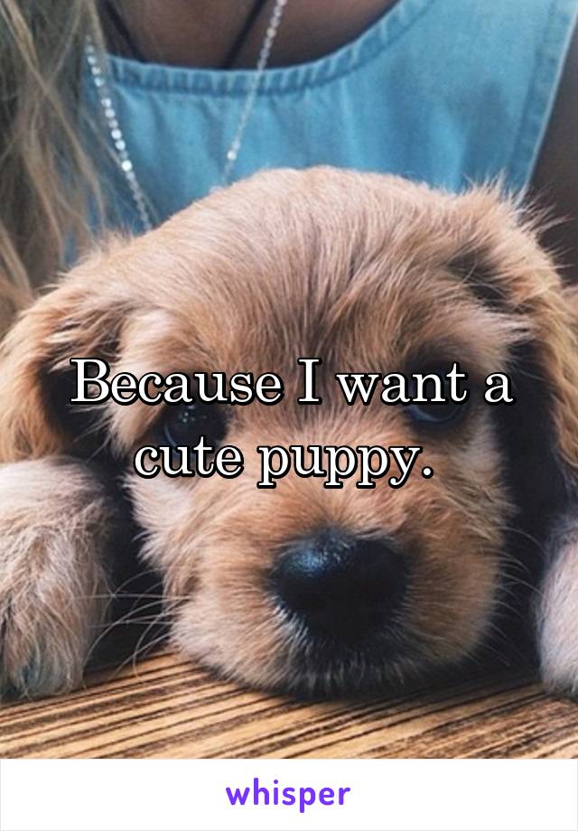 Because I want a cute puppy. 