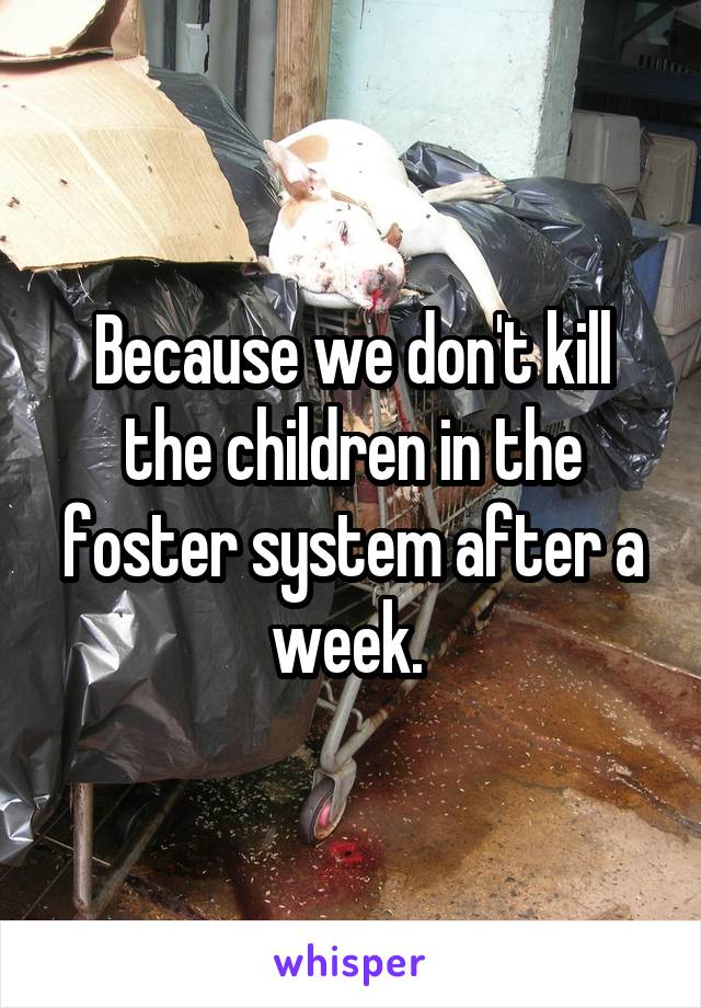 Because we don't kill the children in the foster system after a week. 