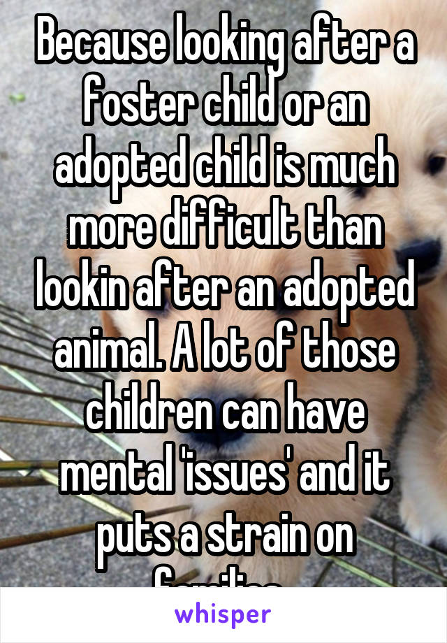 Because looking after a foster child or an adopted child is much more difficult than lookin after an adopted animal. A lot of those children can have mental 'issues' and it puts a strain on families. 