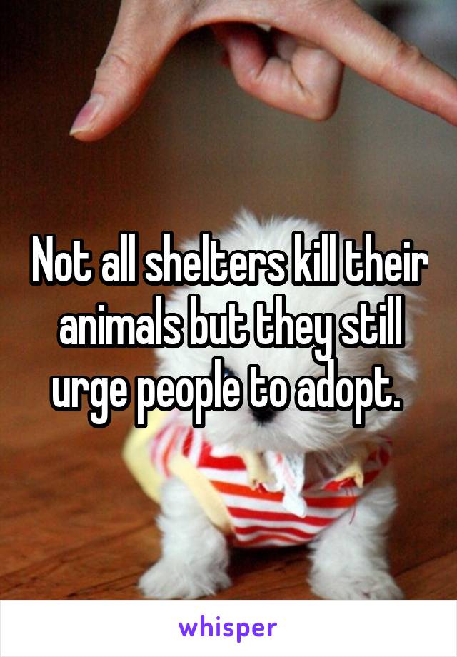 Not all shelters kill their animals but they still urge people to adopt. 