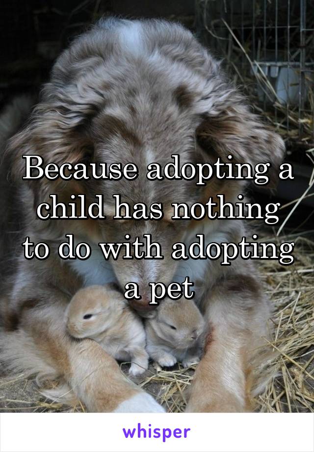 Because adopting a child has nothing to do with adopting a pet