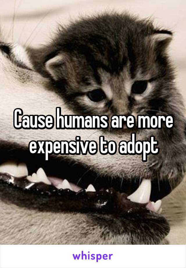 Cause humans are more expensive to adopt