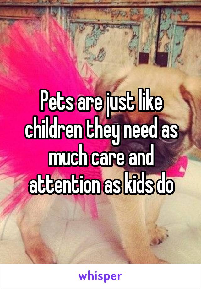 Pets are just like children they need as much care and attention as kids do