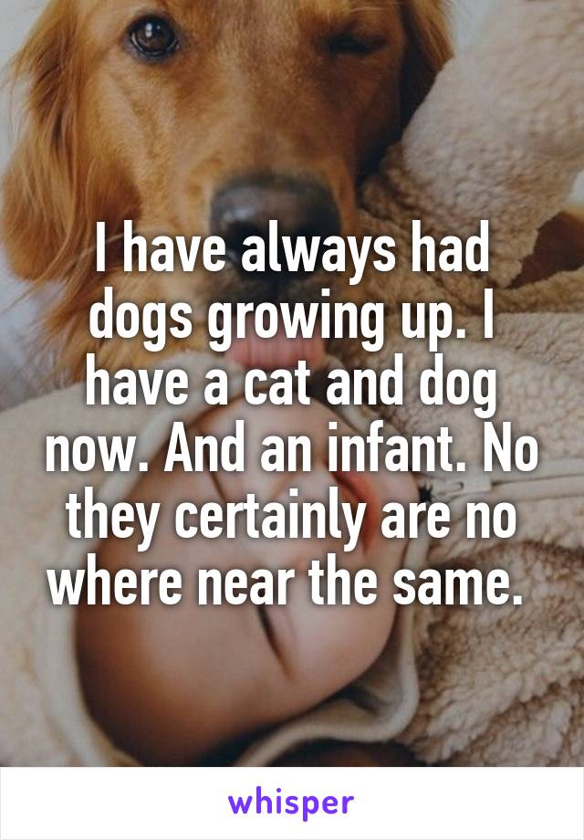 I have always had dogs growing up. I have a cat and dog now. And an infant. No they certainly are no where near the same. 