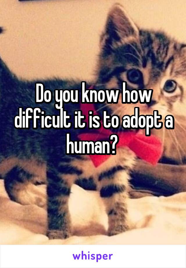 Do you know how difficult it is to adopt a human? 
