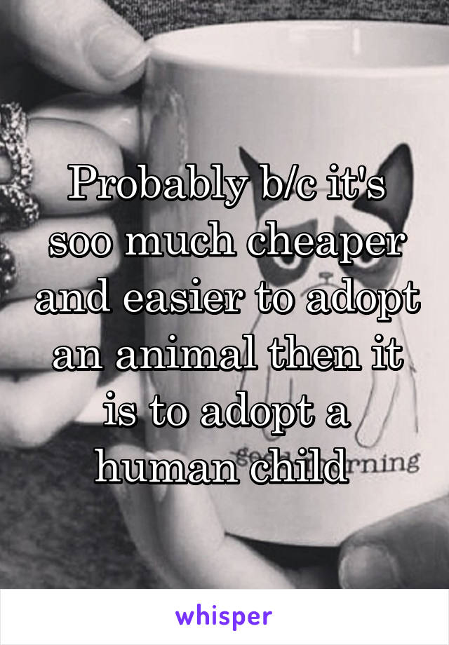 Probably b/c it's soo much cheaper and easier to adopt an animal then it is to adopt a human child 