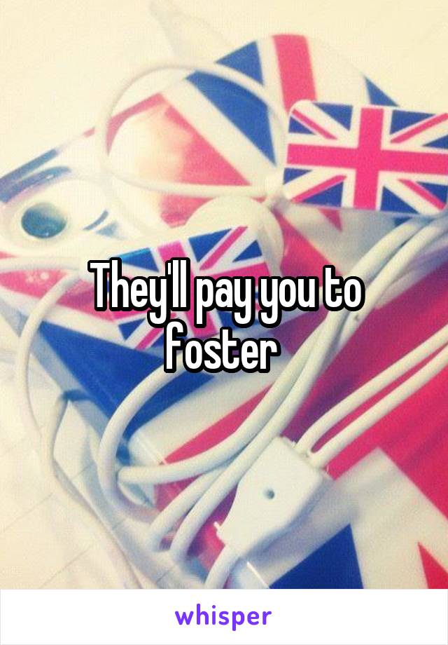 They'll pay you to foster 