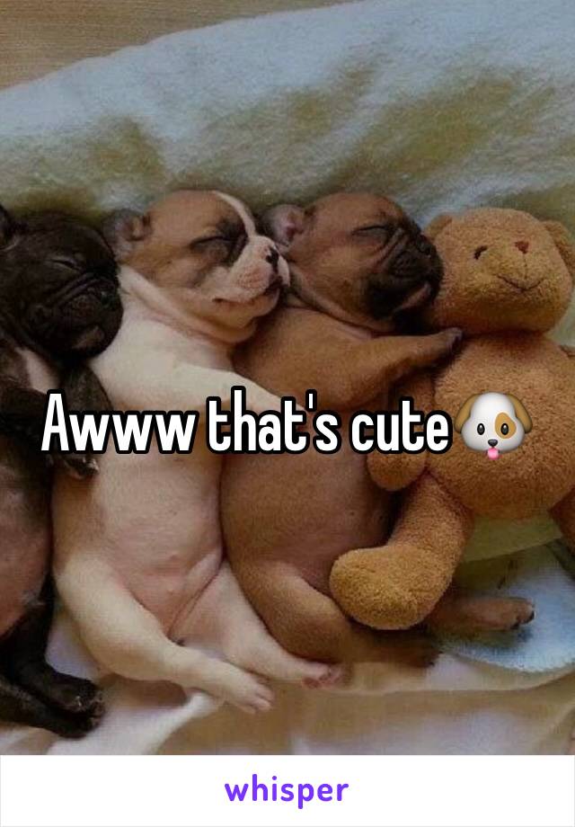 Awww that's cute🐶