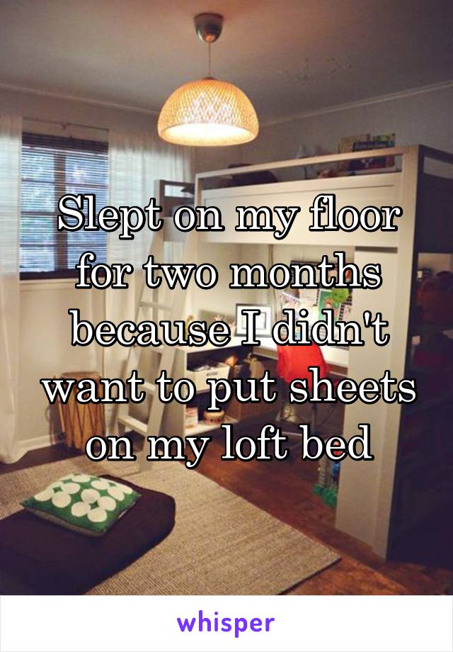 Slept on my floor for two months because I didn't want to put sheets on my loft bed