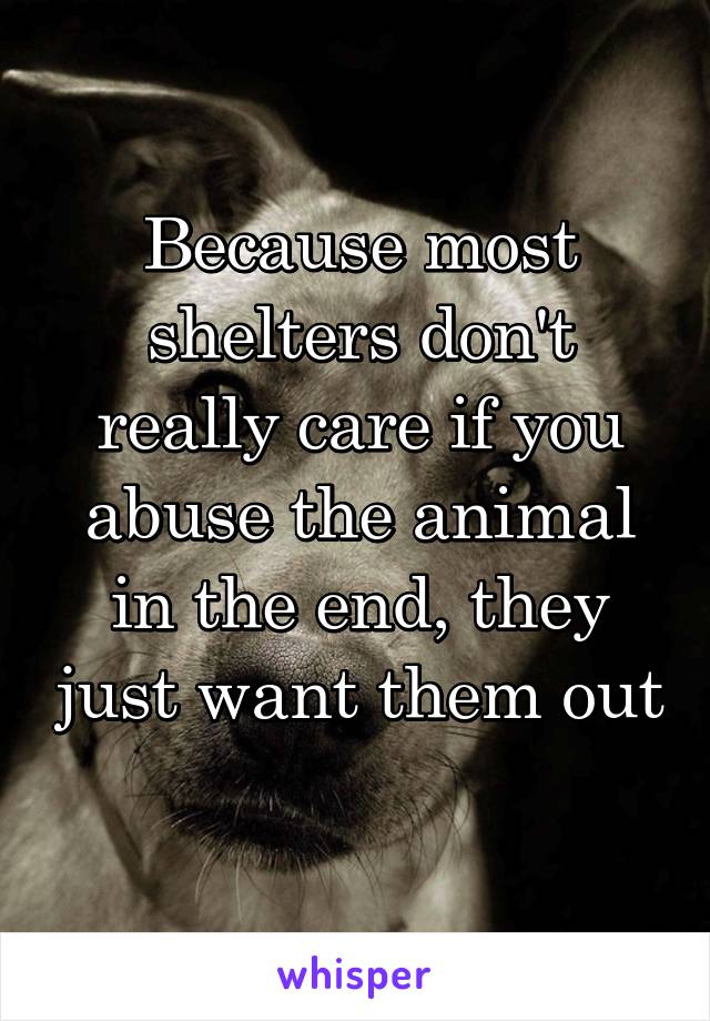 Because most shelters don't really care if you abuse the animal in the end, they just want them out 