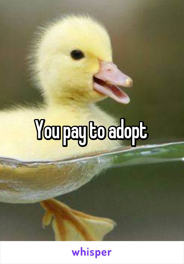 You pay to adopt 