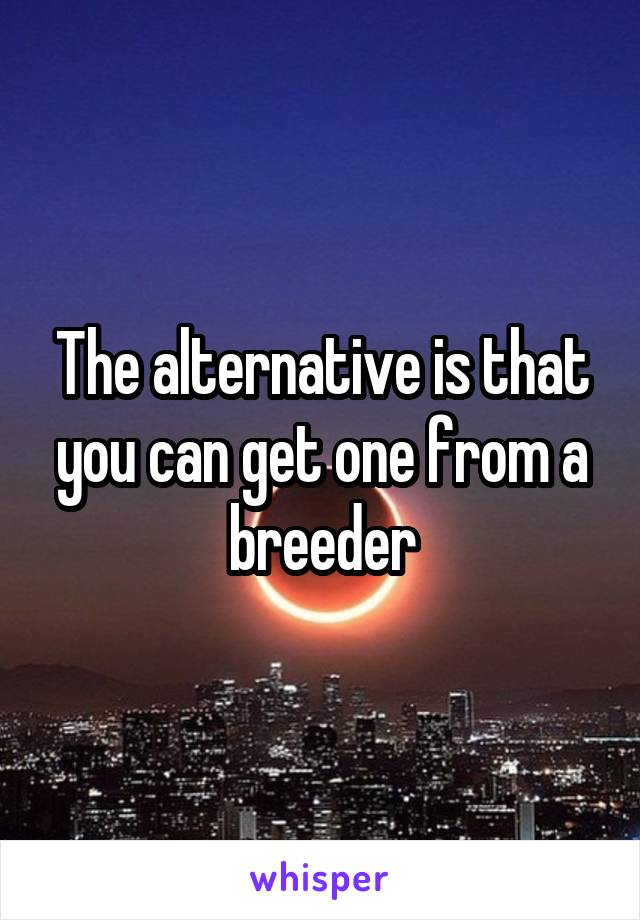 The alternative is that you can get one from a breeder