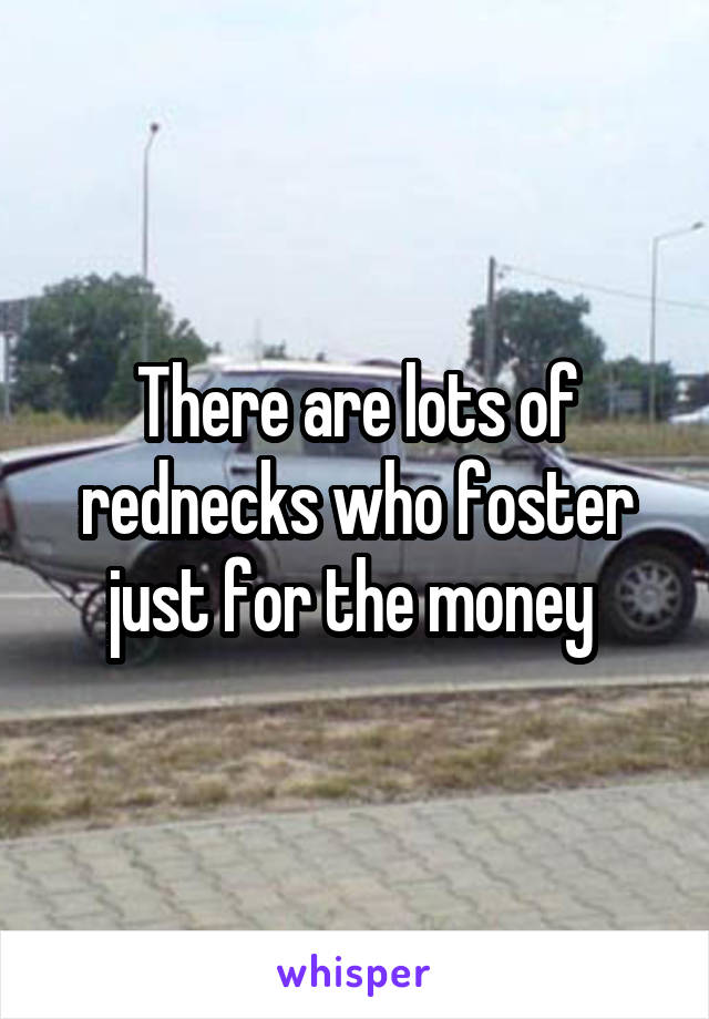 There are lots of rednecks who foster just for the money 