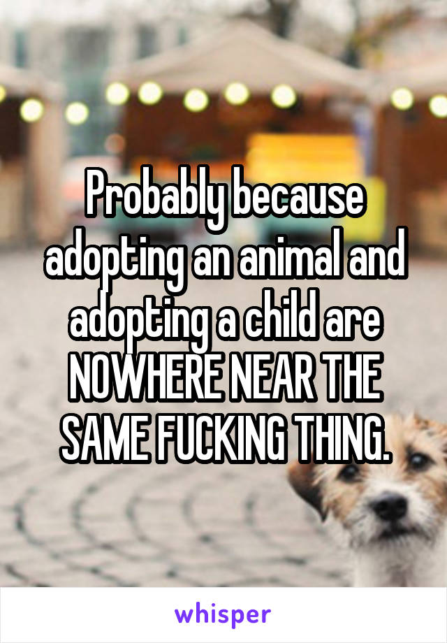 Probably because adopting an animal and adopting a child are NOWHERE NEAR THE SAME FUCKING THING.