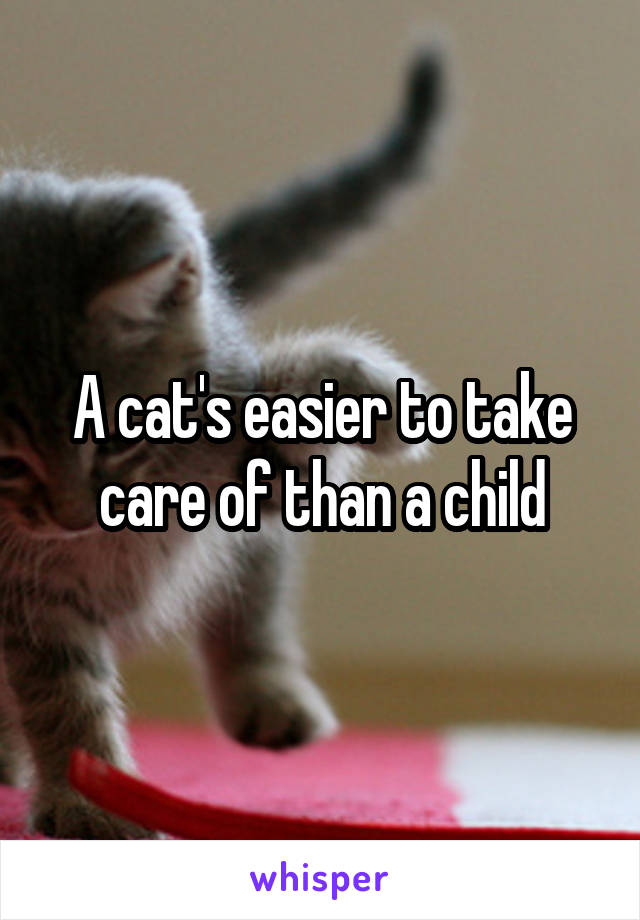 A cat's easier to take care of than a child