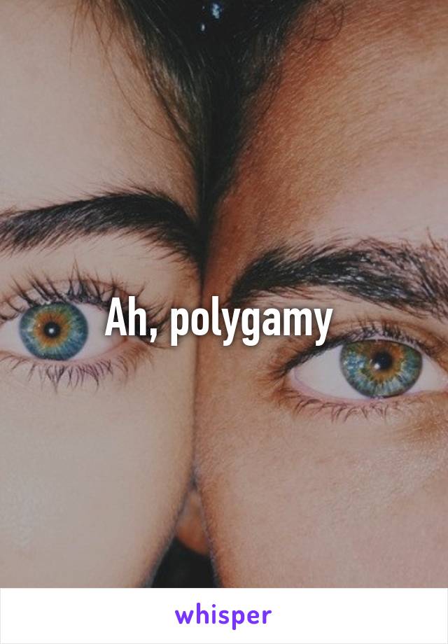 Ah, polygamy 