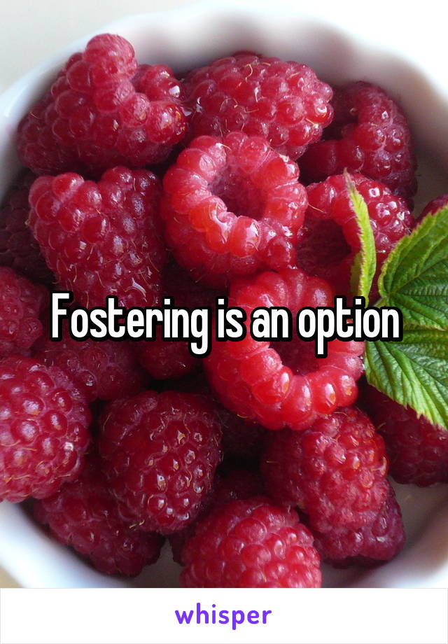 Fostering is an option