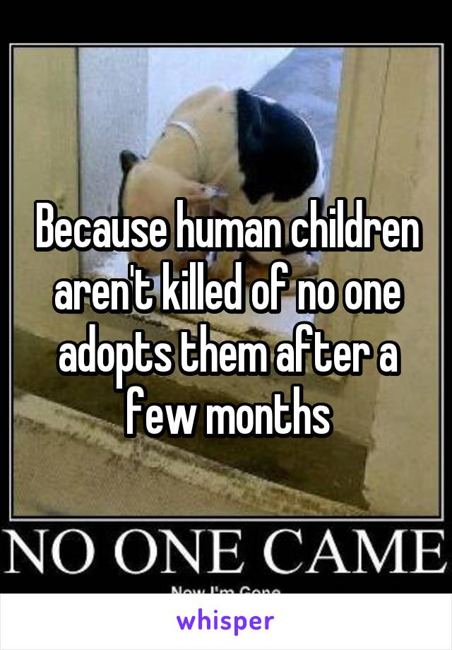 Because human children aren't killed of no one adopts them after a few months