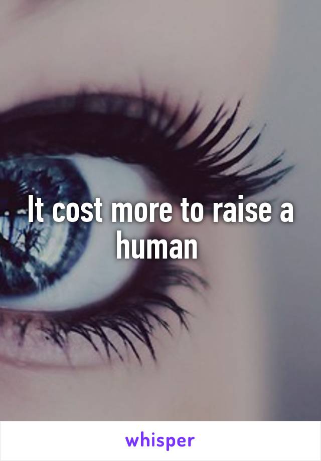 It cost more to raise a human 