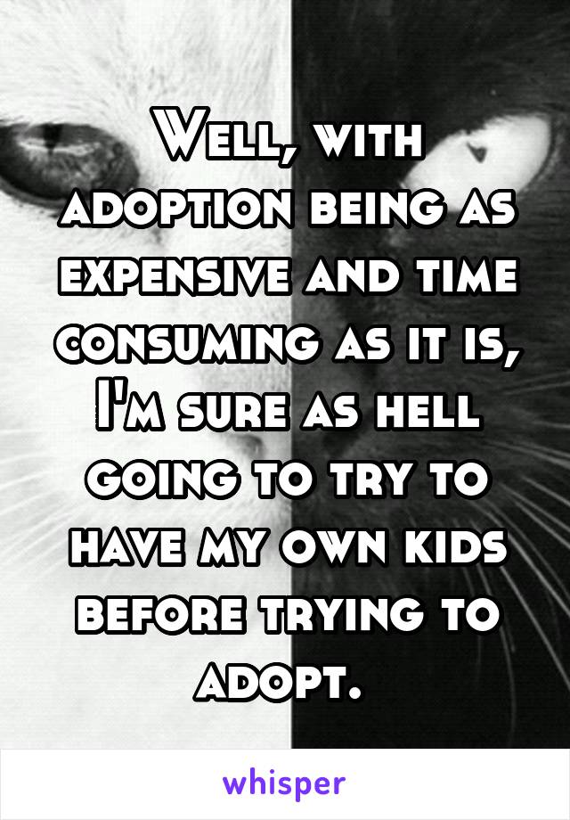 Well, with adoption being as expensive and time consuming as it is, I'm sure as hell going to try to have my own kids before trying to adopt. 