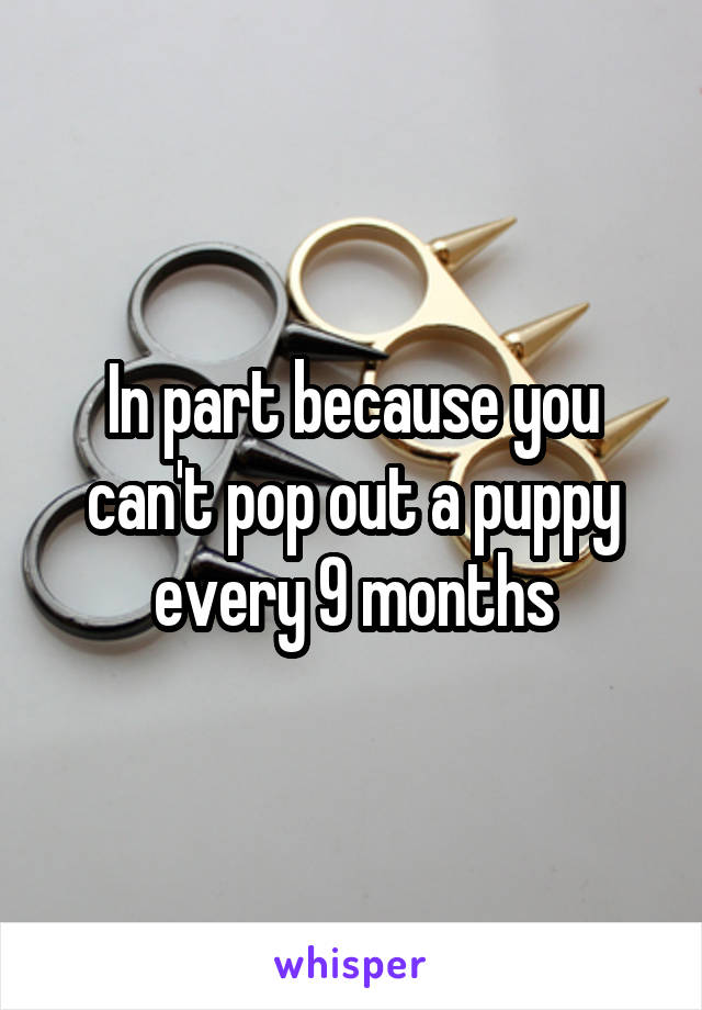 In part because you can't pop out a puppy every 9 months