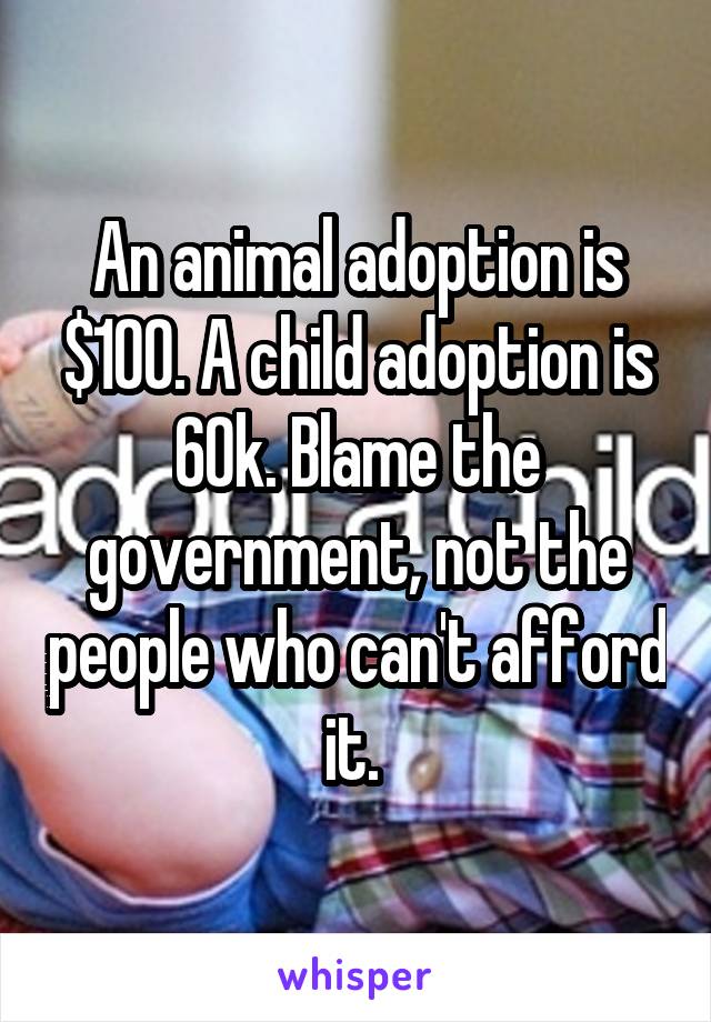 An animal adoption is $100. A child adoption is 60k. Blame the government, not the people who can't afford it. 