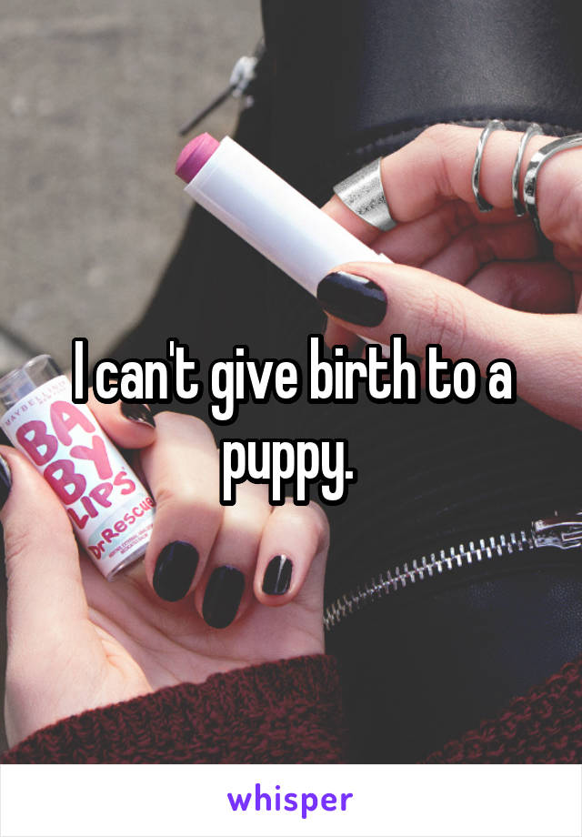 I can't give birth to a puppy. 