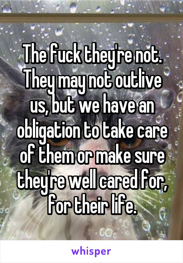 The fuck they're not.
They may not outlive us, but we have an obligation to take care of them or make sure they're well cared for, for their life.