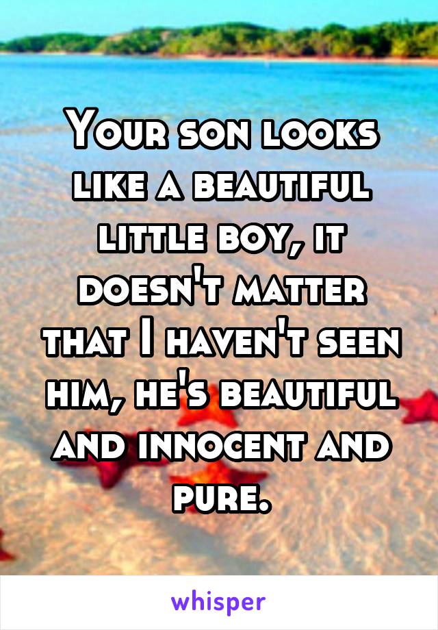 Your son looks like a beautiful little boy, it doesn't matter that I haven't seen him, he's beautiful and innocent and pure.