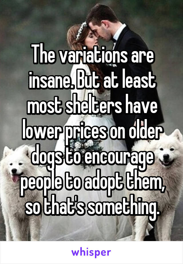 The variations are insane. But at least most shelters have lower prices on older dogs to encourage people to adopt them, so that's something.