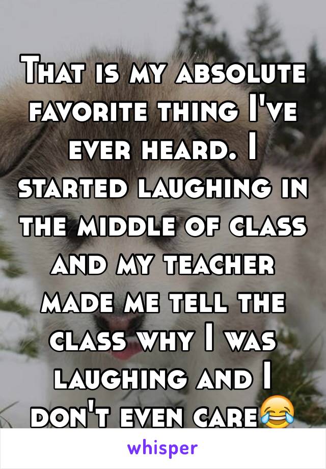 That is my absolute favorite thing I've ever heard. I started laughing in the middle of class and my teacher made me tell the class why I was laughing and I don't even care😂