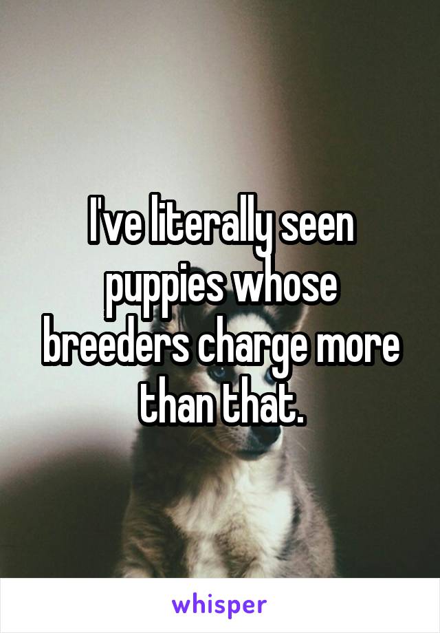 I've literally seen puppies whose breeders charge more than that.