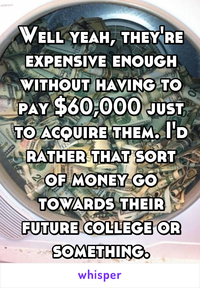 Well yeah, they're expensive enough without having to pay $60,000 just to acquire them. I'd rather that sort of money go towards their future college or something.