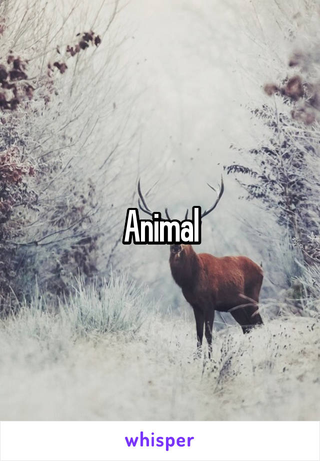 Animal