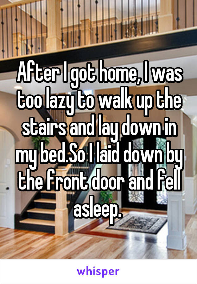 After I got home, I was too lazy to walk up the stairs and lay down in my bed.So I laid down by the front door and fell asleep. 