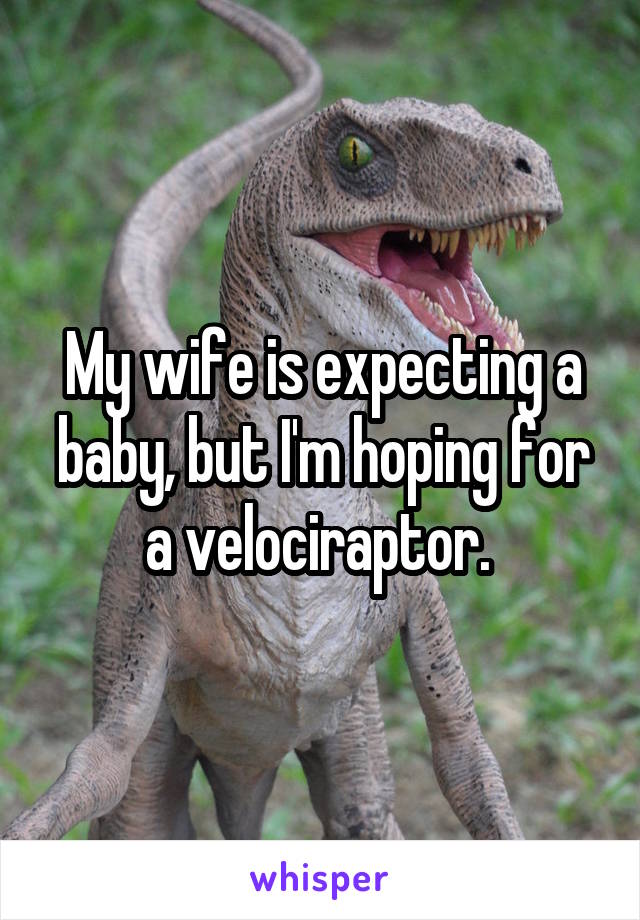 My wife is expecting a baby, but I'm hoping for a velociraptor. 