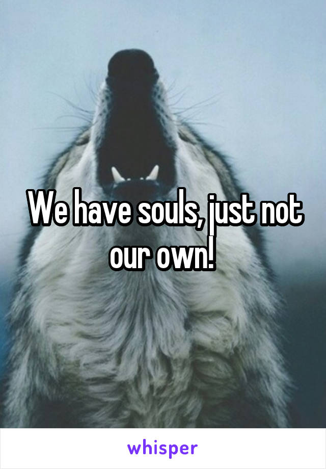 We have souls, just not our own! 