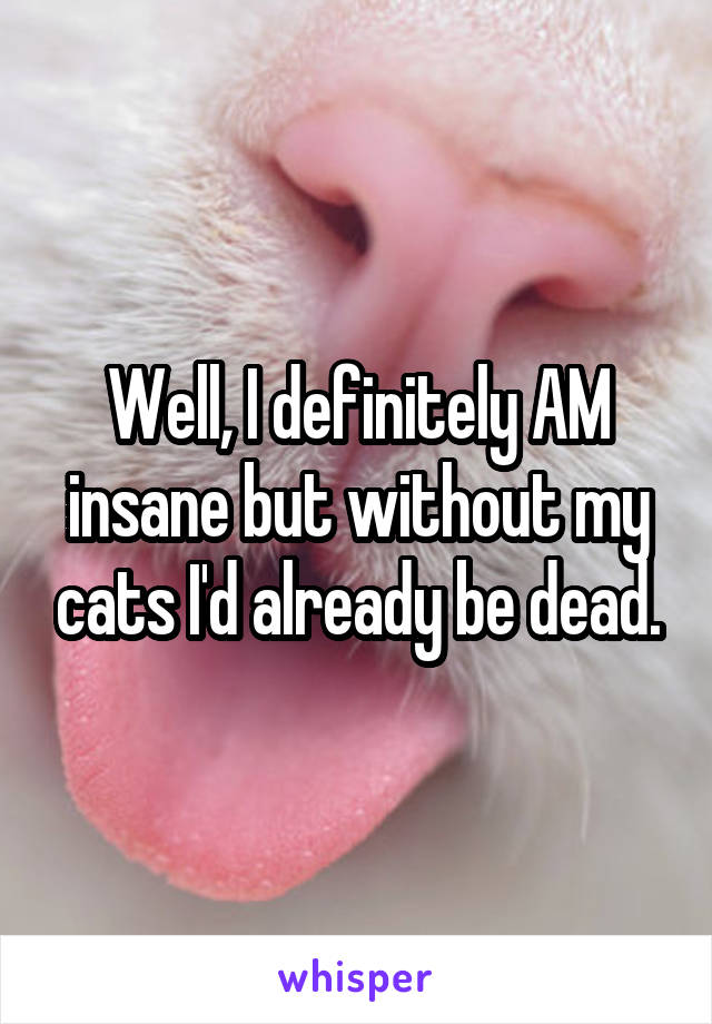 Well, I definitely AM insane but without my cats I'd already be dead.