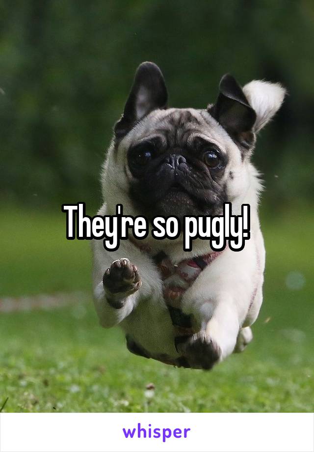 They're so pugly! 