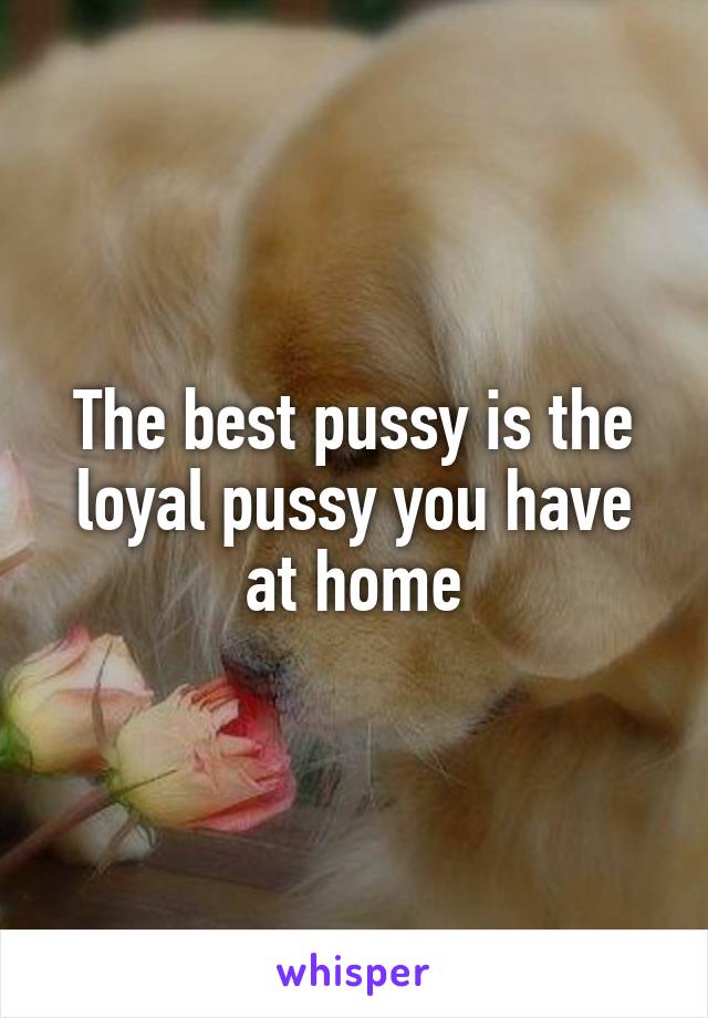 The best pussy is the loyal pussy you have at home