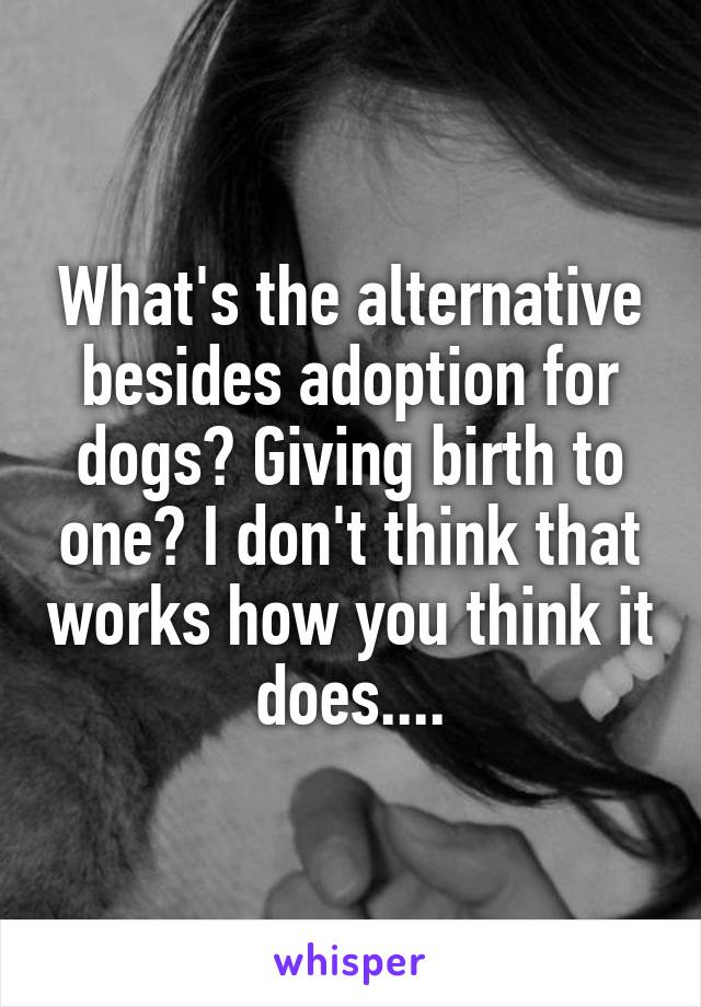 What's the alternative besides adoption for dogs? Giving birth to one? I don't think that works how you think it does....