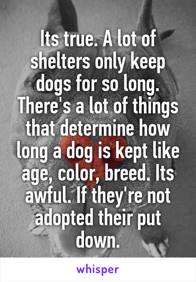 Its true. A lot of shelters only keep dogs for so long. There's a lot of things that determine how long a dog is kept like age, color, breed. Its awful. If they're not adopted their put down.