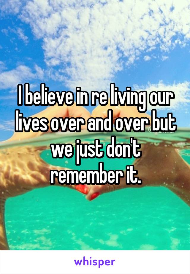 I believe in re living our lives over and over but we just don't remember it.
