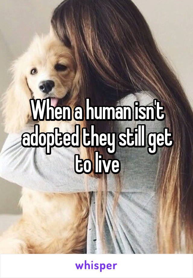 When a human isn't adopted they still get to live