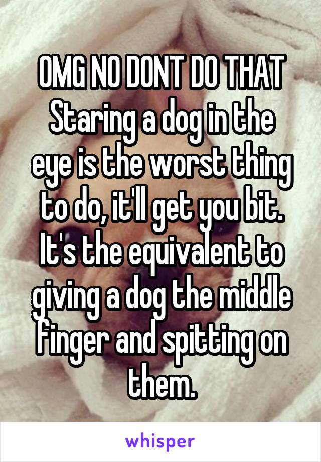 OMG NO DONT DO THAT
Staring a dog in the eye is the worst thing to do, it'll get you bit. It's the equivalent to giving a dog the middle finger and spitting on them.